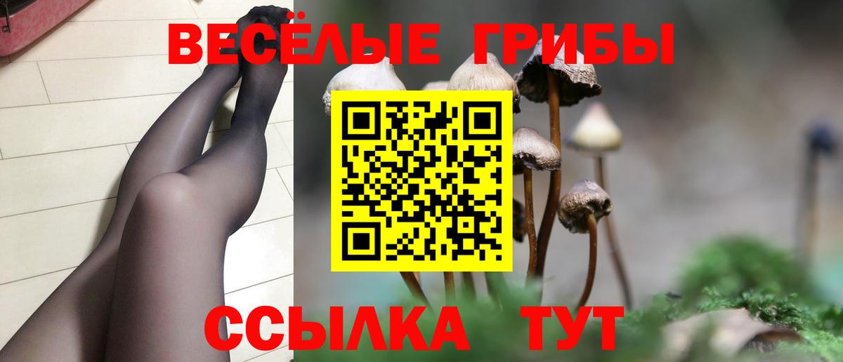 Галлюциногенные грибы MAGIC MUSHROOMS  Вход с VPN  Новоуральск  Псилоцибиновые грибы MAGIC MUSHROOMS 